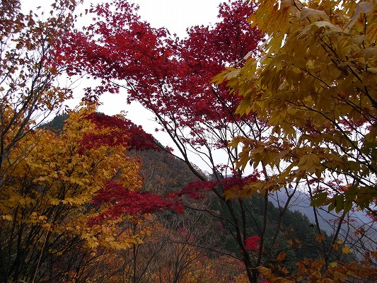 f0187402_21574.jpg