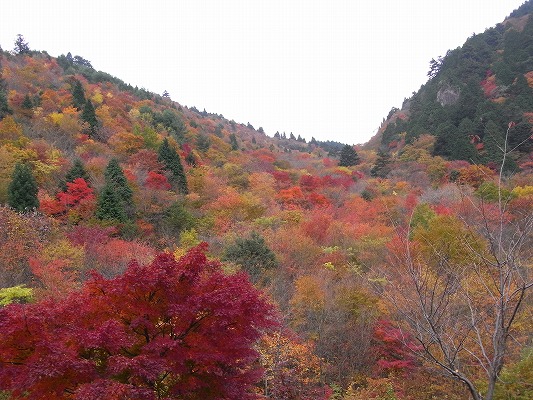 f0187402_2161525.jpg