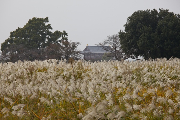 c0043403_22574446.jpg