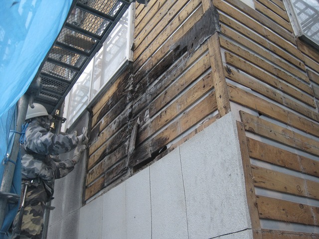f0202703_23143246.jpg