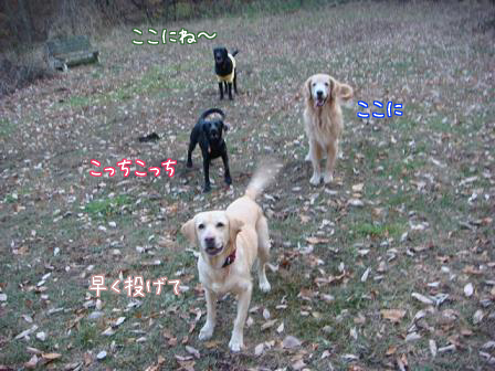f0064906_18235111.jpg