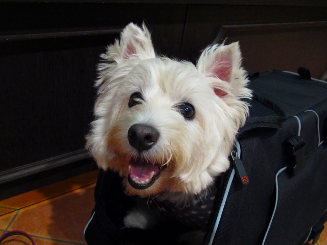 f0039907_0145283.jpg