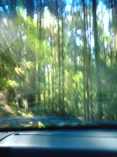 b0085408_0584562.jpg