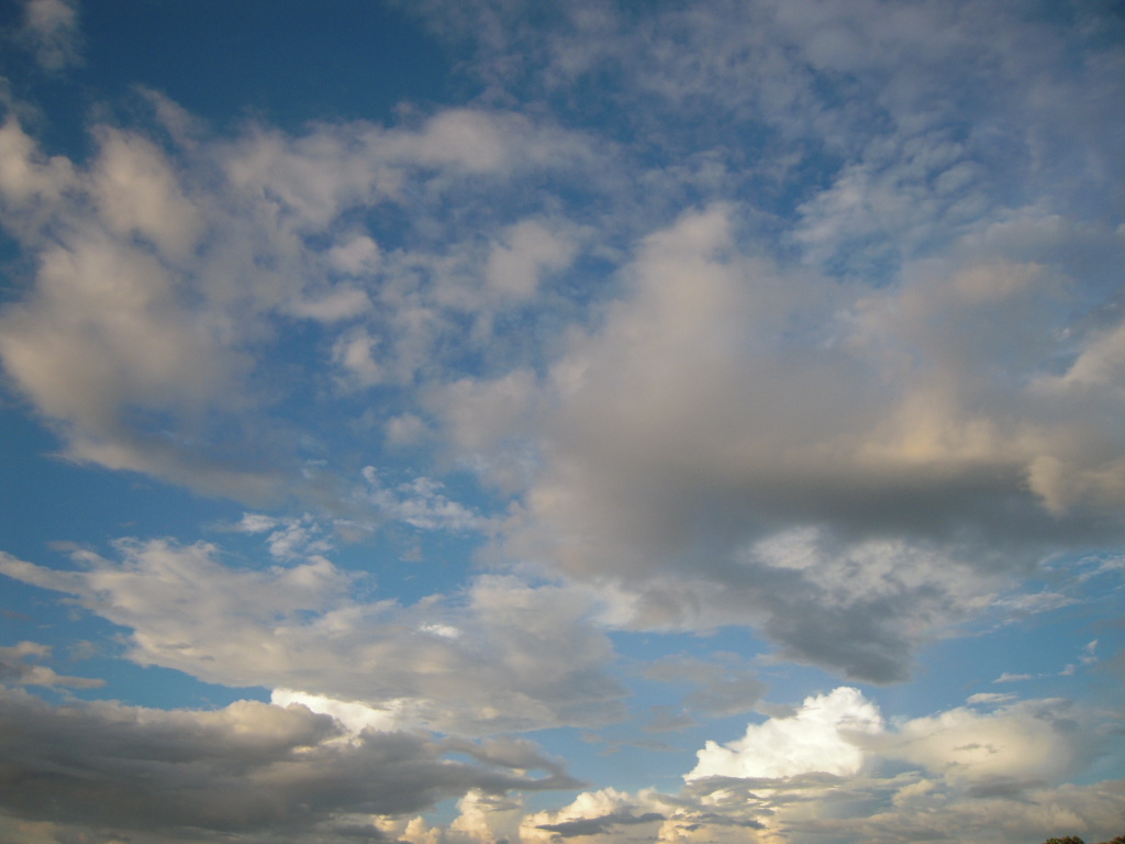 c0132608_1861478.jpg