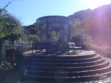 d0071710_3114896.jpg