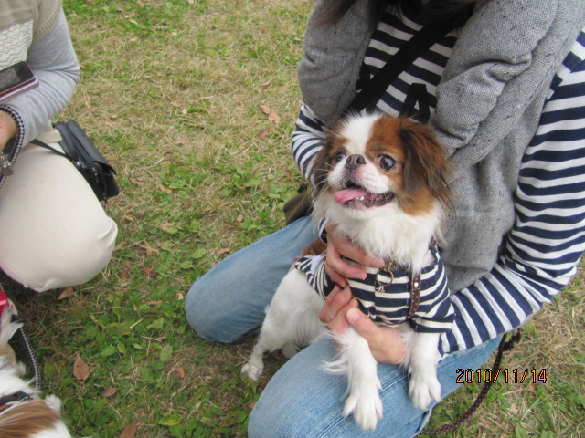 c0200916_22553935.jpg