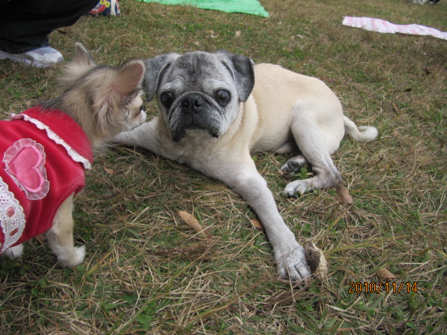 c0200916_22573538.jpg