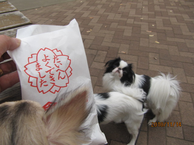 c0200916_2382353.jpg