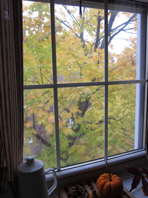 c0120817_4174537.jpg
