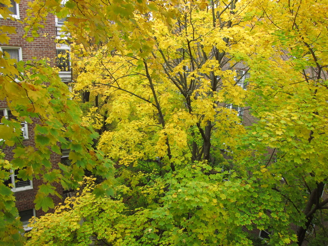 c0120817_418374.jpg