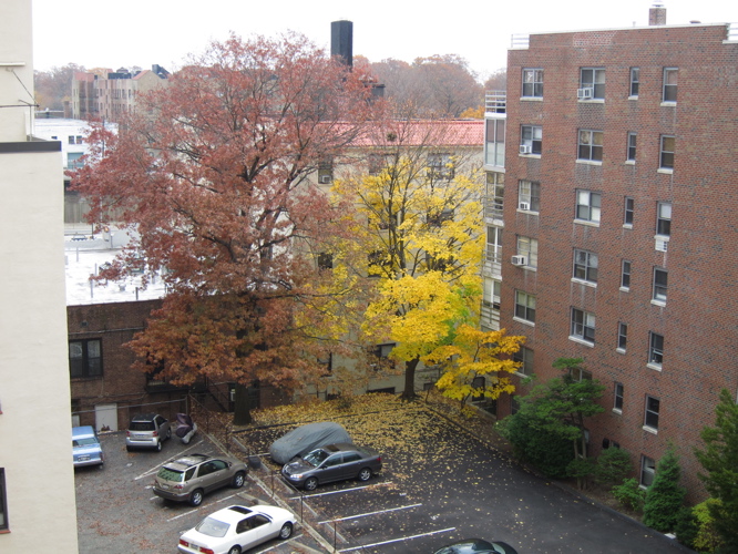 c0120817_4193413.jpg