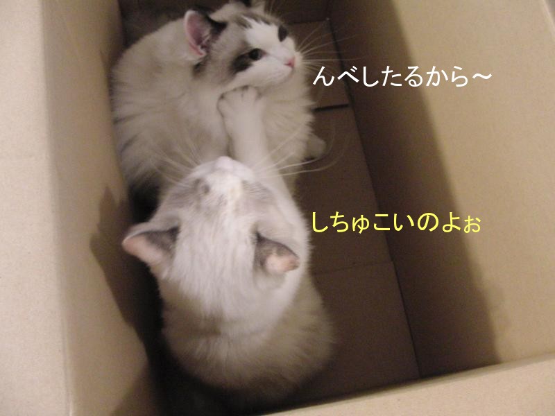 e0214720_15395492.jpg