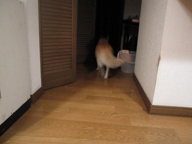 e0191826_23233792.jpg