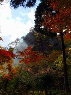 c0153732_22592568.jpg