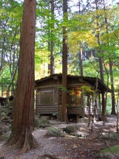 c0153732_22593796.jpg