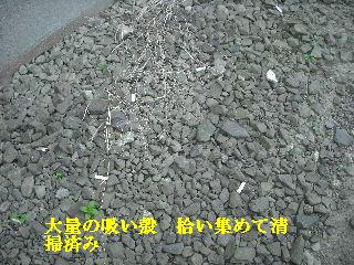f0031037_20312830.jpg