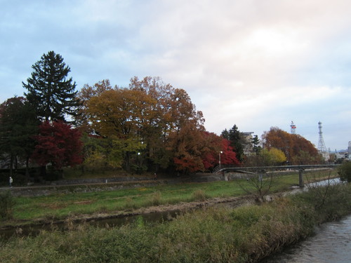 d0156438_8542940.jpg