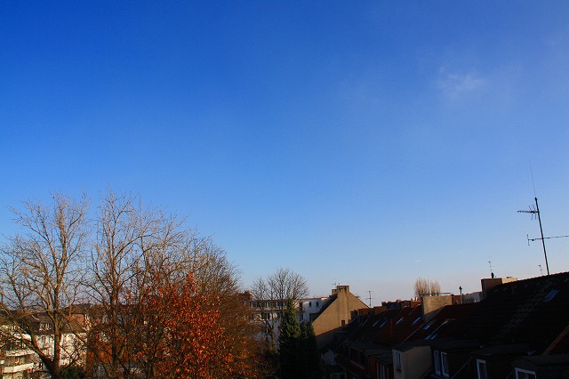 c0153740_23121044.jpg