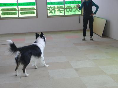 f0186040_013246.jpg