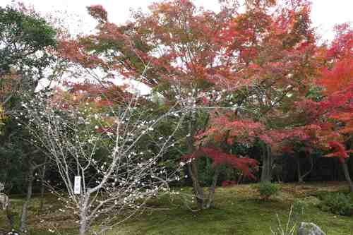 f0233356_22403270.jpg