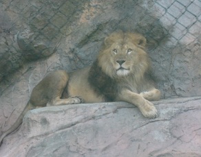a0121260_4224054.jpg
