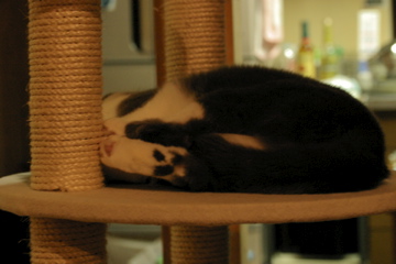 b0044761_12592119.jpg