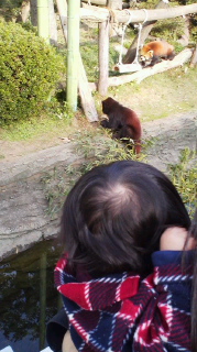 c0225561_20334546.jpg