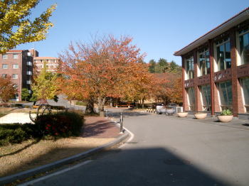 a0085663_22465570.jpg