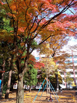c0050264_12135590.jpg