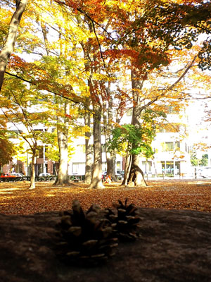 c0050264_121451100.jpg