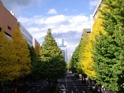 c0050264_12285486.jpg