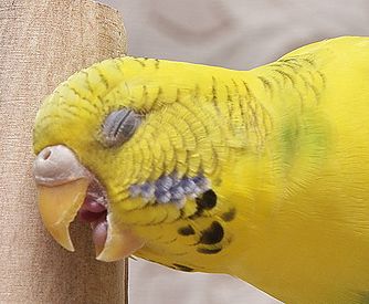 f0196665_042623.jpg