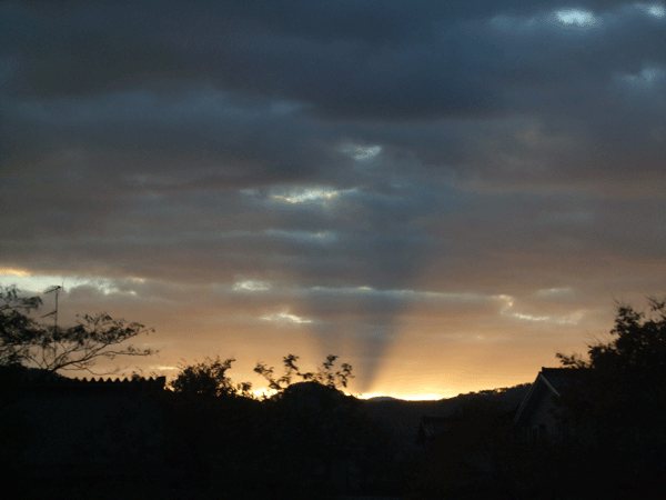 d0094868_10502987.gif