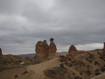 f0204469_191472.jpg