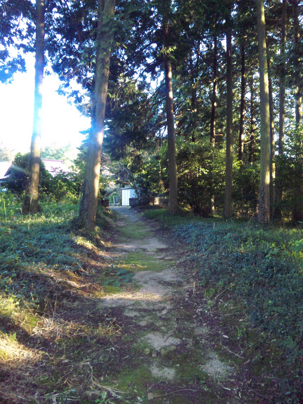 e0165472_22172373.jpg