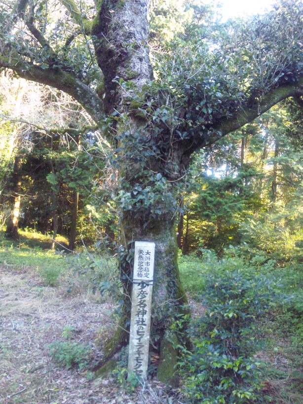 e0165472_22233168.jpg