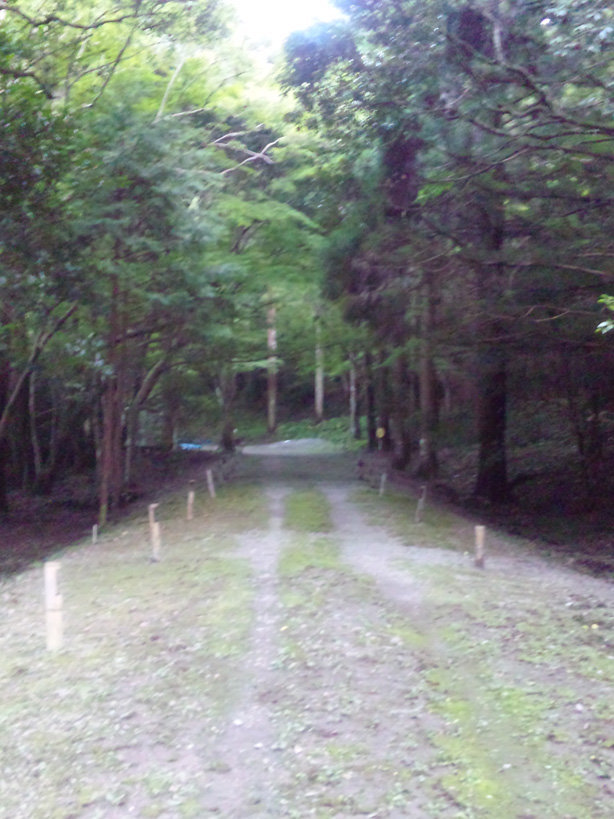 e0165472_222888.jpg