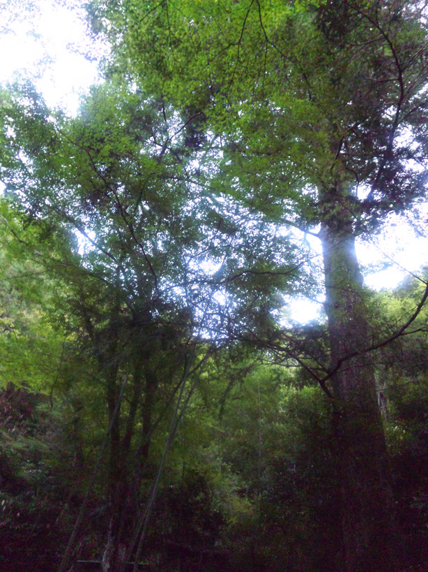 e0165472_22291760.jpg