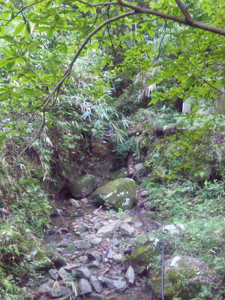 e0165472_22321429.jpg
