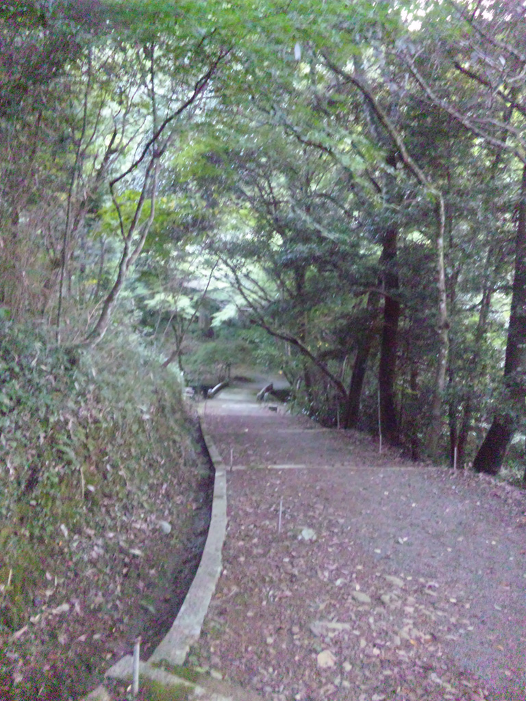e0165472_22403495.jpg