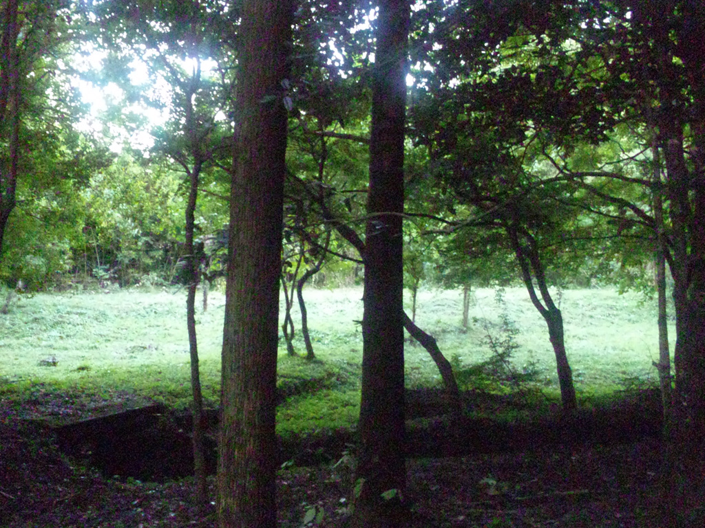 e0165472_22452370.jpg