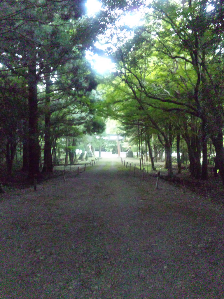 e0165472_2302660.jpg