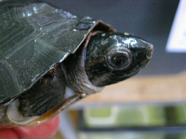 e0099576_19123728.jpg
