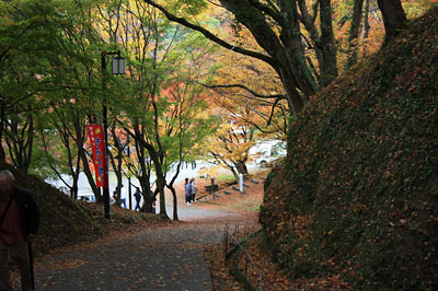 c0152779_3124117.jpg