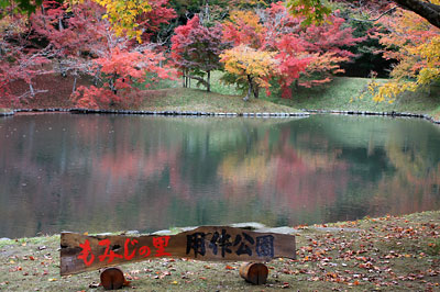 c0152779_3343129.jpg