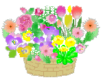 f0055380_20224132.gif