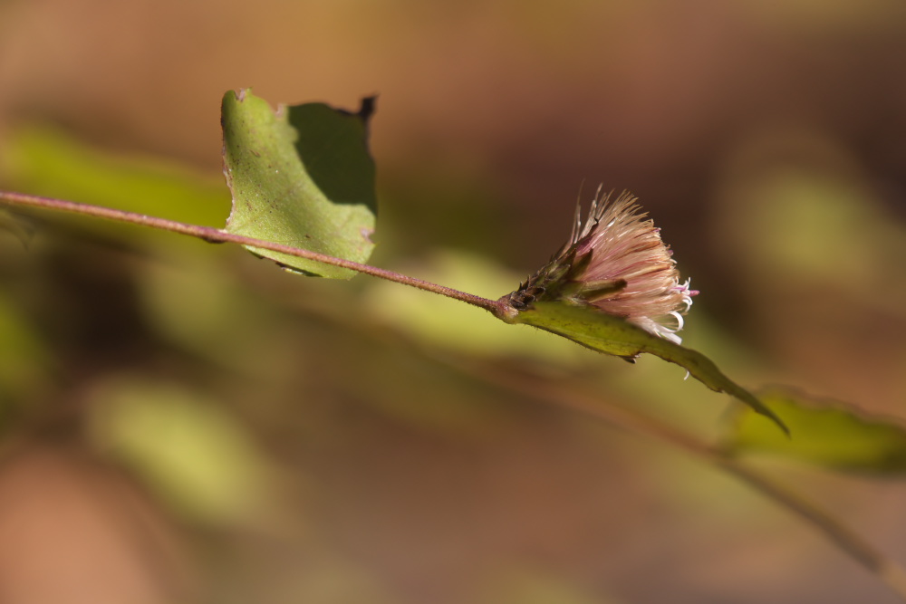 a0083081_16574449.jpg