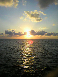f0016981_2352298.jpg