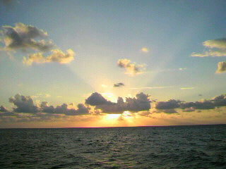 f0016981_237110.jpg