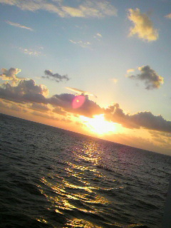 f0016981_2373880.jpg